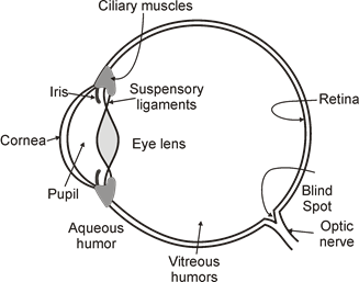The Eye 10 - Wikipedia