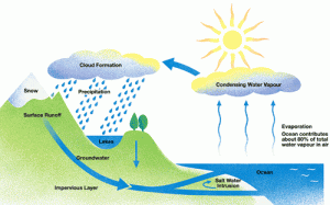 waterCycle